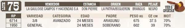 Lote LOTE 75 - EN VIVO