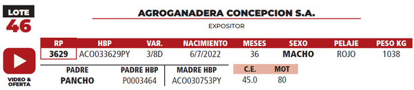 Lote LOTE 46