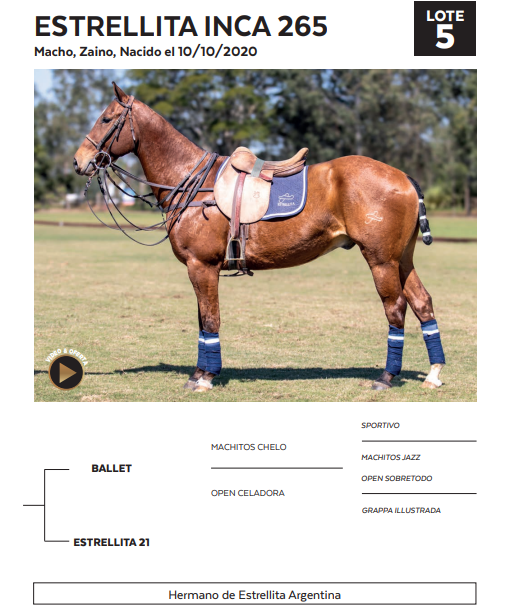 Lote LOTE 5