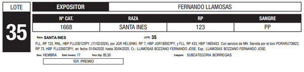 Lote LOTE 35
