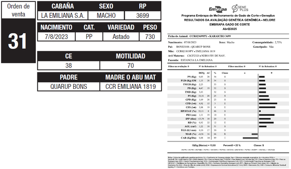 Lote LOTE 31
