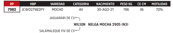 Lote LOTE 3