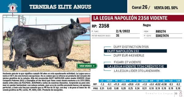 Lote TERNERAS ELITE (SE VENDE EL 50%)