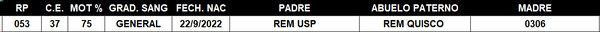 Lote LOTE 51