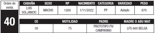 Lote LOTE 40