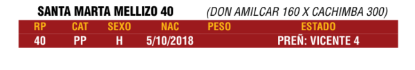 Lote LOTE 42