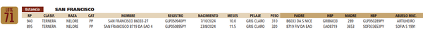 Lote LOTE 71