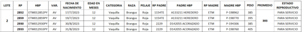 Lote LOTE 2