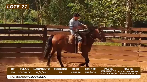 Lote LOTE 27- CAMPO