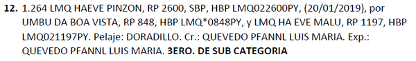 Lote LOTE 12