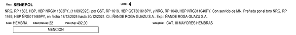 Lote LOTE 4