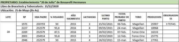Lote Lote 28