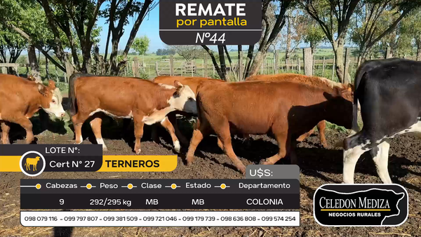 Lote 9 Terneros en Otra Localidad, Colonia