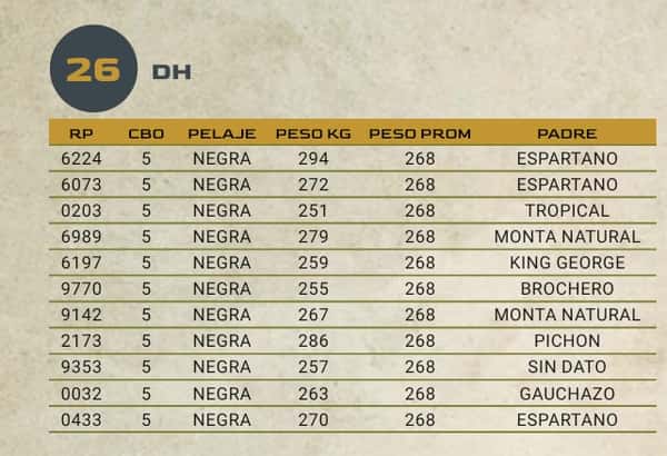 Lote LOTE 26