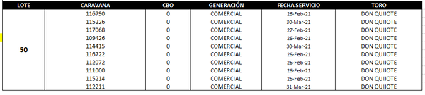 Lote Reproductores de Alborada - Lote 50