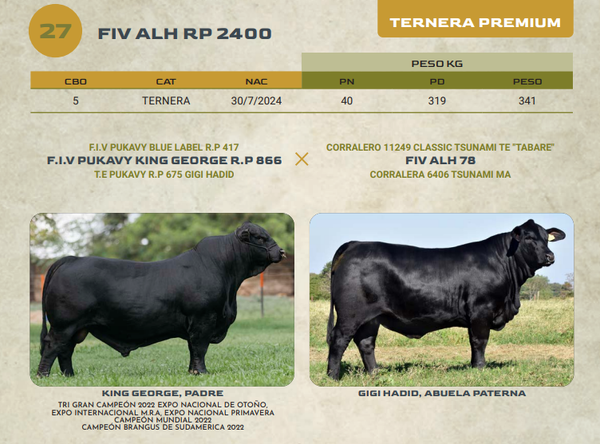 Lote LOTE 27