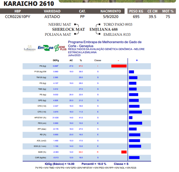 Lote LOTE 31