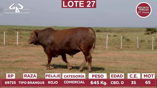 Lote Reproductores de Alborada - Lote 27