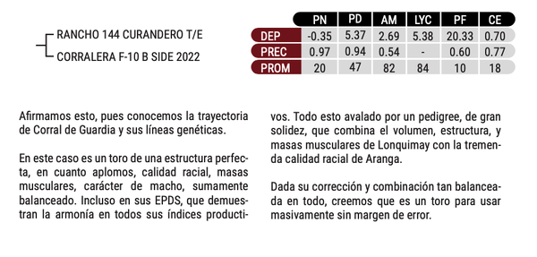 Lote "SERGEN" - PAYANQUEN - CORRALERO 12051 LONQUIMAY ARANGA T/E