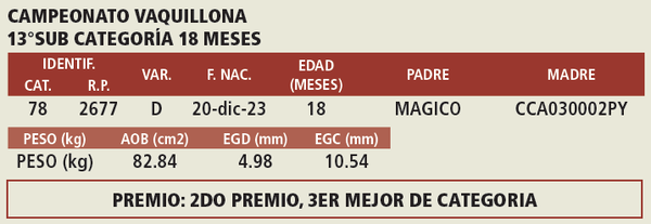 Lote LOTE 2