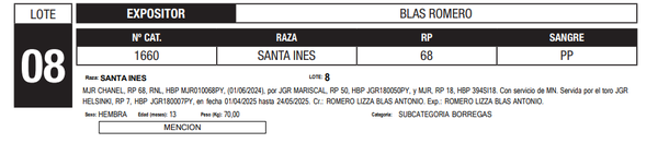 Lote LOTE 8