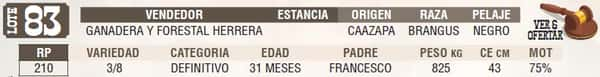 Lote LOTE 83 - EN VIVO