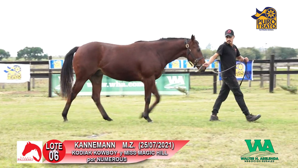Lote KANNEMANN