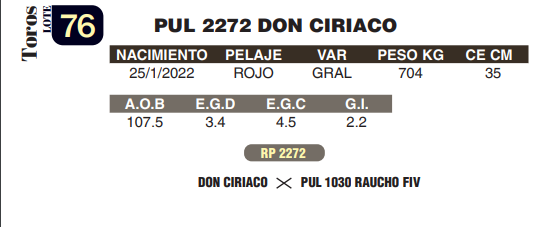 Lote LOTE 76