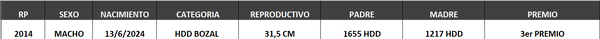 Lote LOTE 41- BOZAL