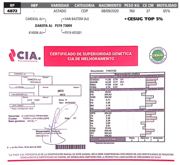 Lote LOTE 65