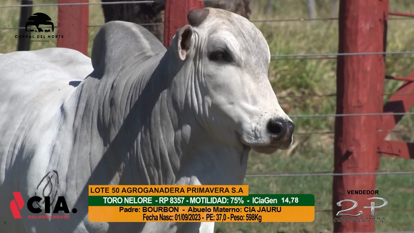 Lote 