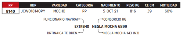 Lote LOTE 62