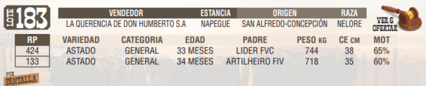 Lote LOTE 183