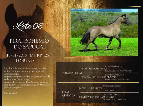 Lote RP 125 - PIRAÍ BOHEMIO DO SAPUCAI