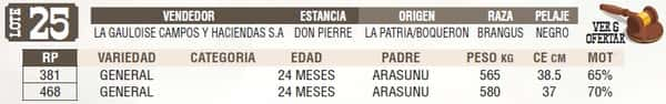 Lote LOTE 25 - EN VIVO