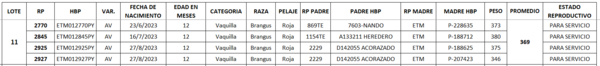 Lote LOTE 11