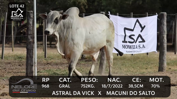 Lote LOTE 42