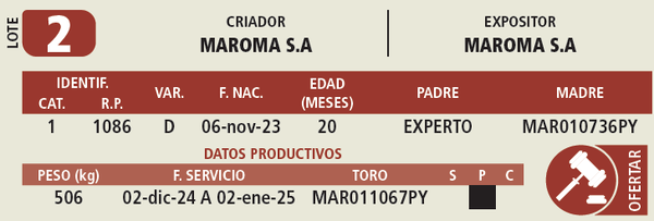 Lote LOTE 2