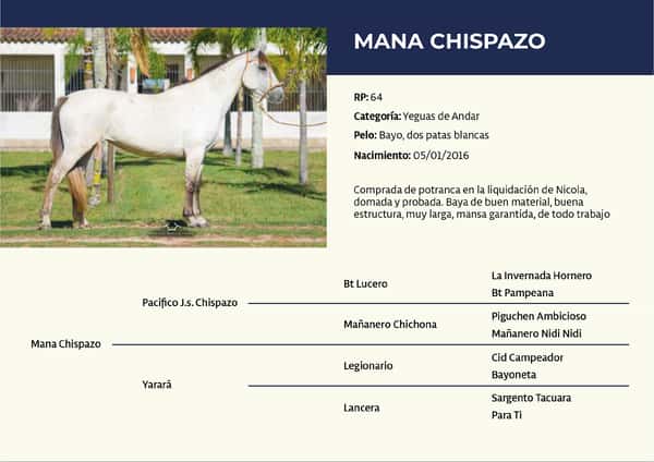 Lote RP 64 - Mana Chispazo