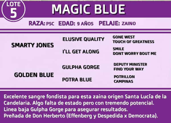 Lote MAGIC BLUE