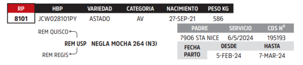 Lote LOTE 84