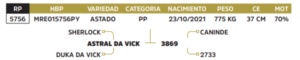 Lote LOTE 21