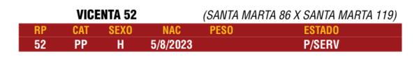 Lote LOTE 28