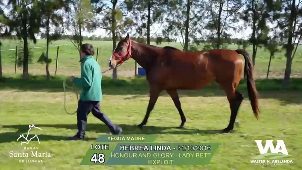Lote HEBREA LINDA