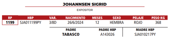 Lote LOTE 29