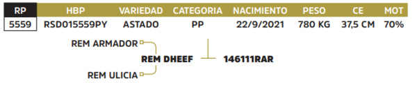 Lote LOTE 7