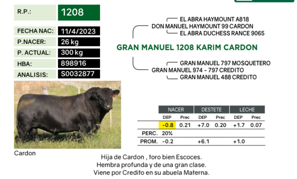 Lote Terneras PP