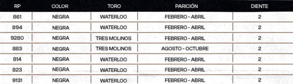 Lote "TRES MOLINOS" Vaquillas Controladas Preñadas