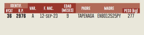 Lote LOTE 11