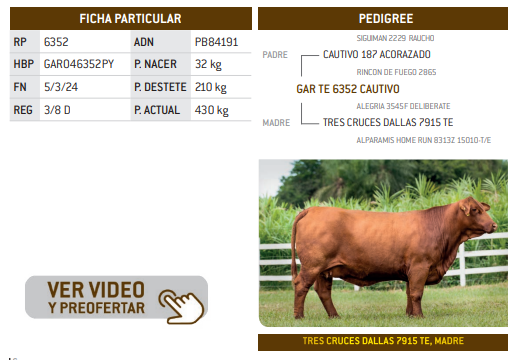 Lote LOTE 2